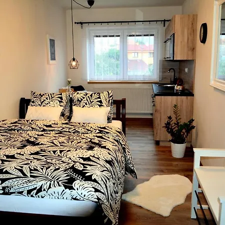 Aparthotel U Kotacku 3*
